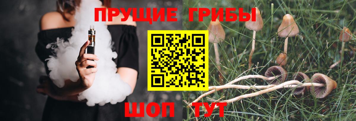 Назрань  Галлюциногенные грибы прущие грибы  Вход с VPN 